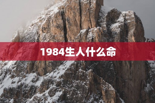 1984生人什么命