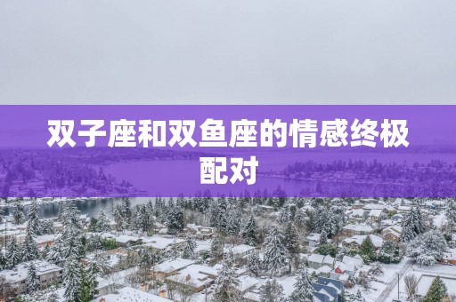 双子座和双鱼座的情感终极配对