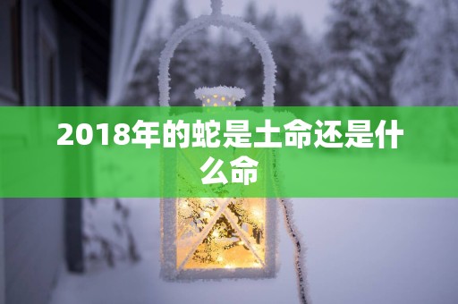 2018年的蛇是土命还是什么命