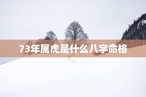 73年属虎是什么八字命格