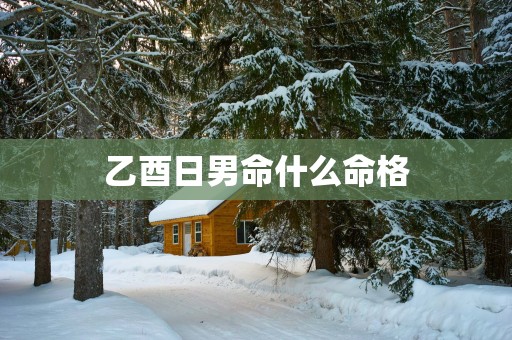 乙酉日男命什么命格