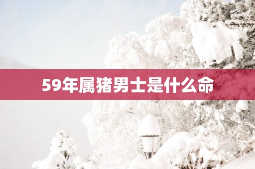 59年属猪男士是什么命