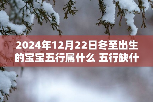 2025年12月22日冬至出生的宝宝五行属什么 五行缺什么