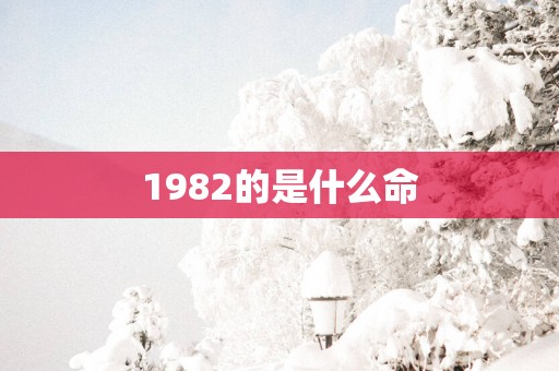 1982的是什么命