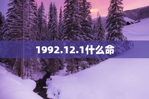1992.12.1什么命