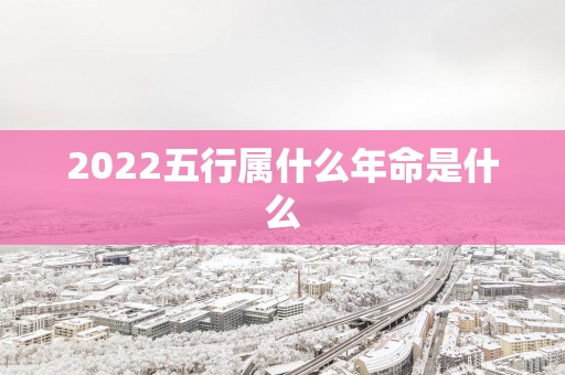 2025五行属什么年命是什么