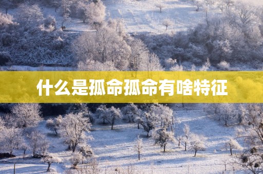 什么是孤命孤命有啥特征