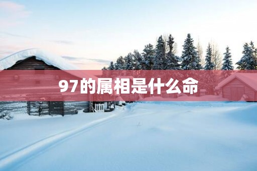 97的属相是什么命
