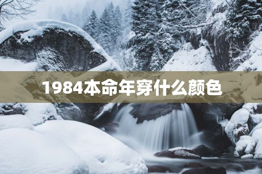 1984本命年穿什么颜色