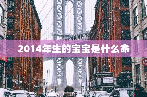 2014年生的宝宝是什么命