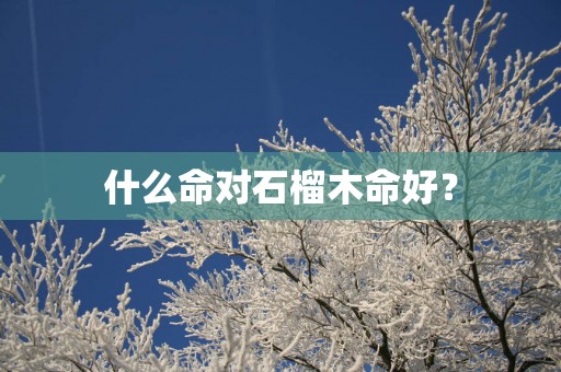 什么命对石榴木命好？