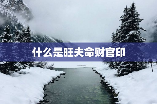 什么是旺夫命财官印