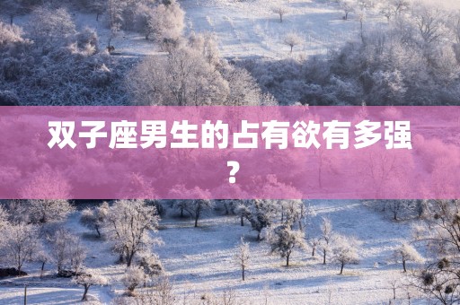 双子座男生的占有欲有多强？