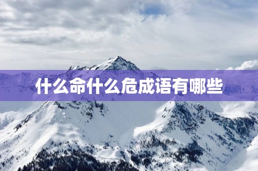 什么命什么危成语有哪些