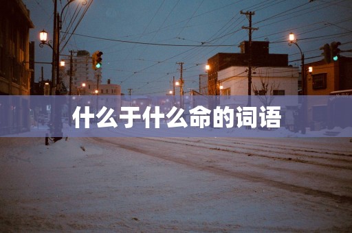 什么于什么命的词语