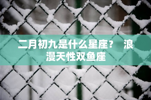 二月初九是什么星座？  浪漫天性双鱼座