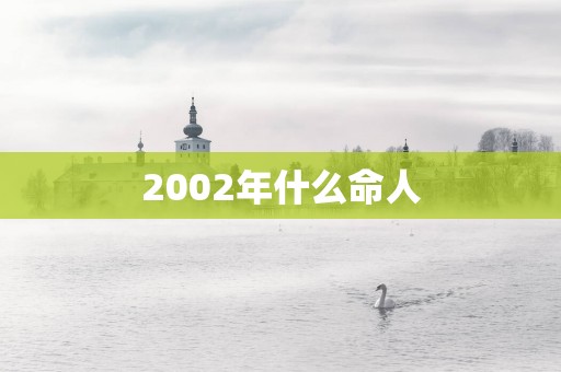 2002年什么命人