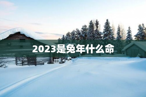 2025是蛇年什么命