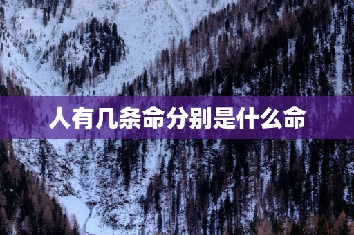 人有几条命分别是什么命