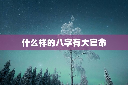 什么样的八字有大官命