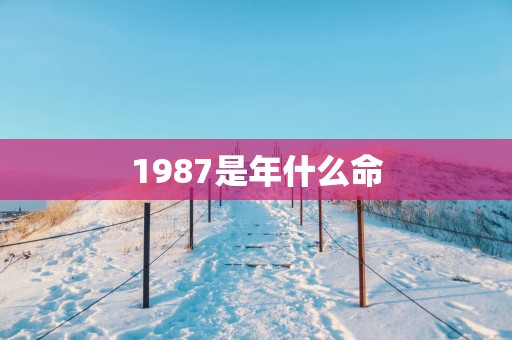 1987是年什么命