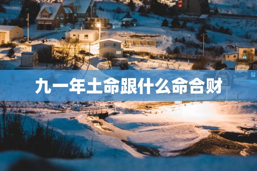 九一年土命跟什么命合财