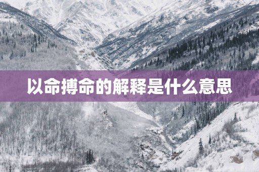 以命搏命的解释是什么意思