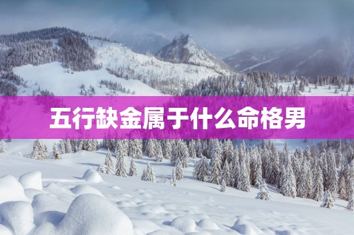 五行缺金属于什么命格男