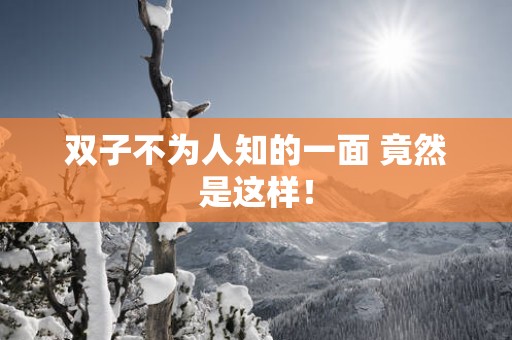双子不为人知的一面 竟然是这样！