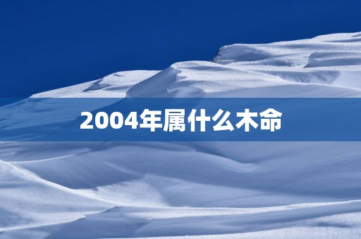 2004年属什么木命
