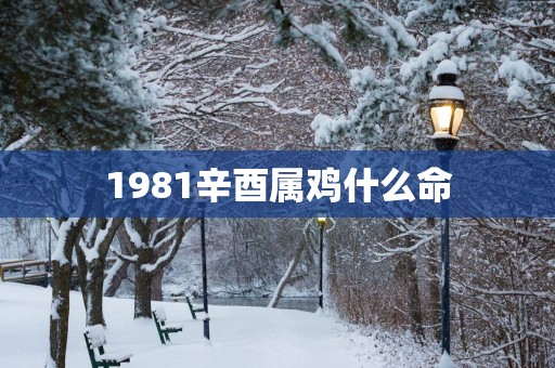 1981辛酉属鸡什么命