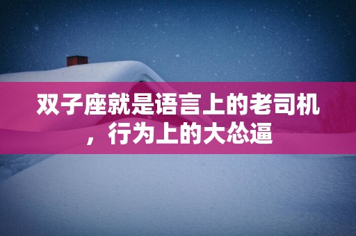 双子座就是语言上的老司机，行为上的大怂逼