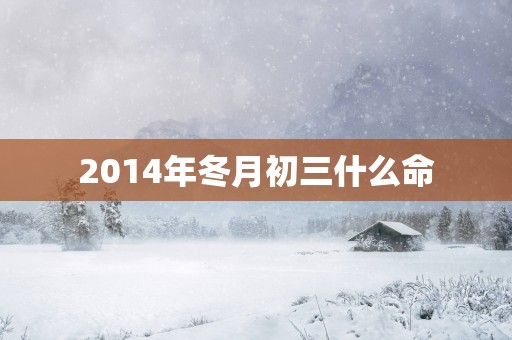 2014年冬月初三什么命