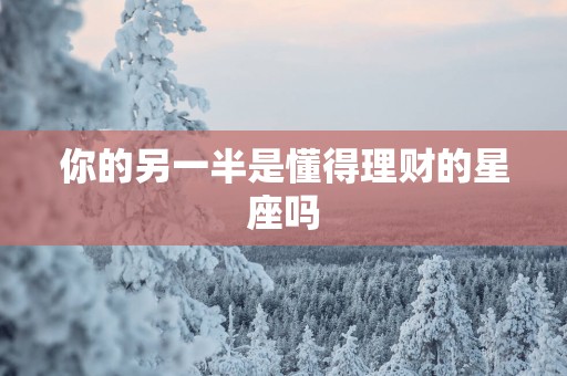 你的另一半是懂得理财的星座吗