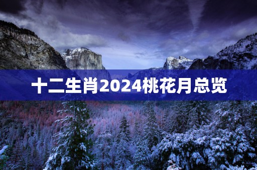 十二生肖2025桃花月总览