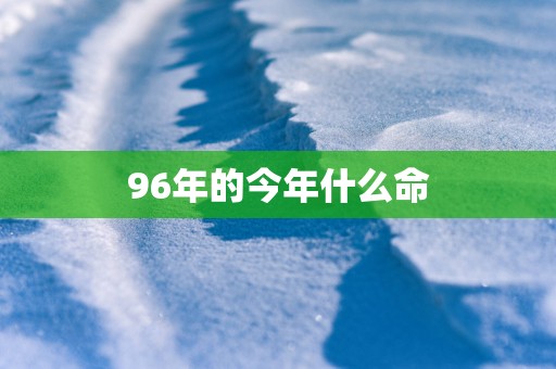 96年的今年什么命