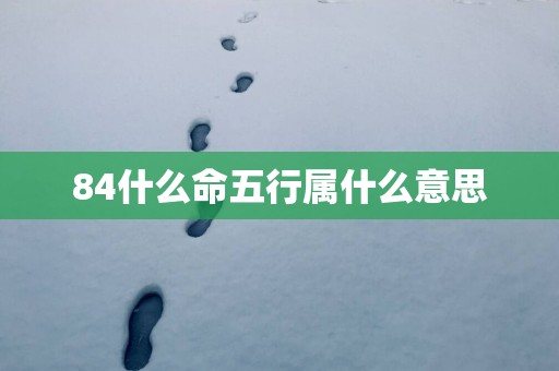 84什么命五行属什么意思