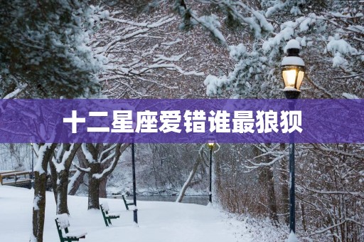 十二星座爱错谁最狼狈