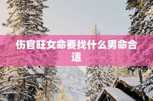 伤官旺女命要找什么男命合适