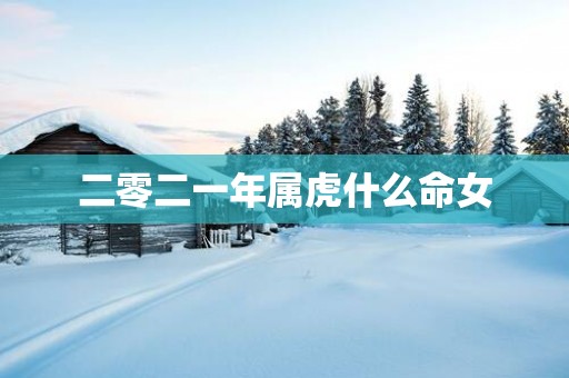 二零二一年属虎什么命女