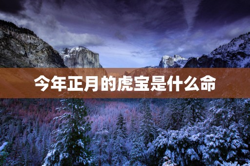 今年正月的虎宝是什么命