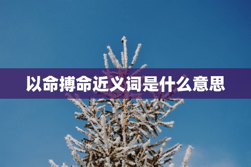 以命搏命近义词是什么意思