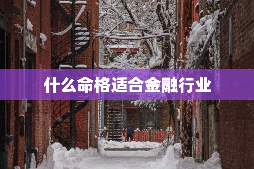 什么命格适合金融行业