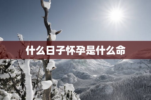 什么日子怀孕是什么命