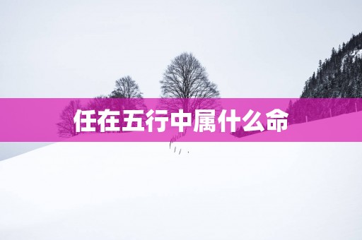 任在五行中属什么命