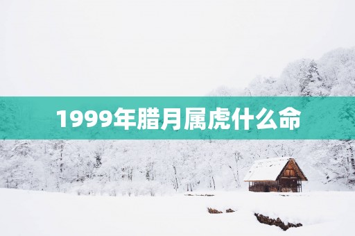 1999年腊月属虎什么命