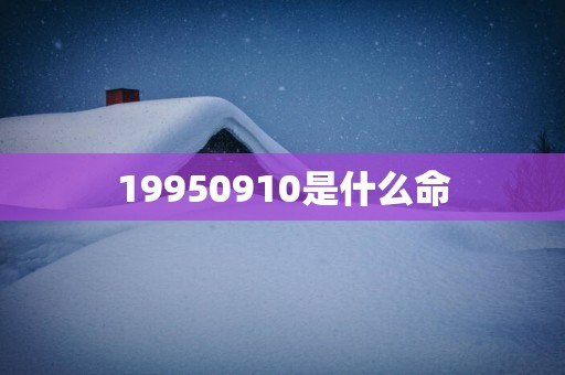 19950910是什么命