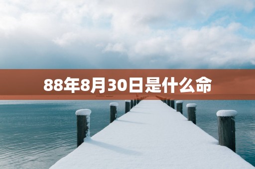 88年8月30日是什么命