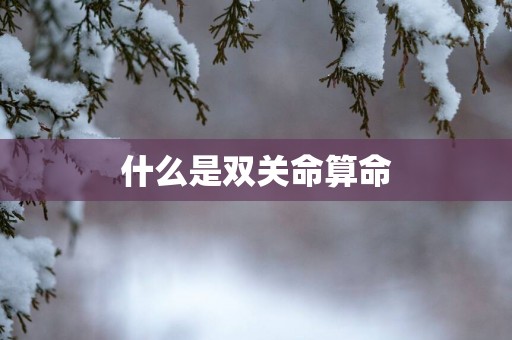 什么是双关命算命