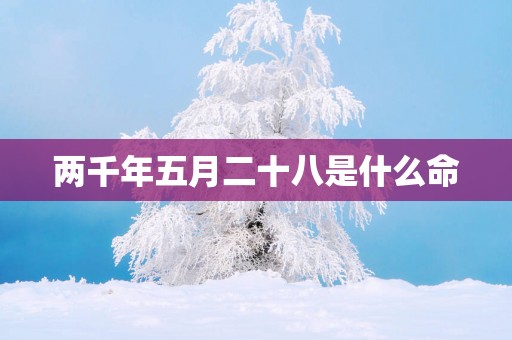两千年五月二十八是什么命